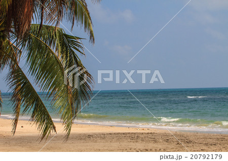 beautiful tropical sea in summer beautiful tropical sea in summer 20792179