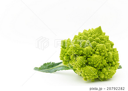 ロマネスコ: Romanesco broccoli ロマネスコ: Romanesco broccoli 20792282