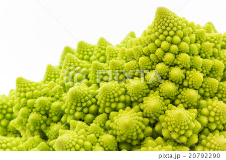 ロマネスコ: Romanesco broccoli 20792290