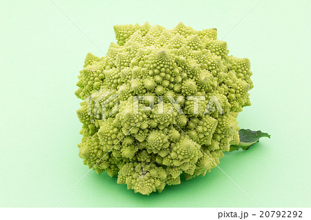 ロマネスコ: Romanesco broccoli ロマネスコ: Romanesco broccoli 20792292