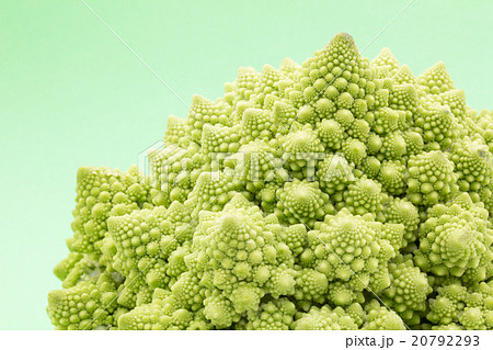ロマネスコ: Romanesco broccoli 20792293