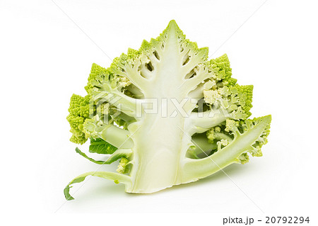 ロマネスコ: Romanesco broccoli 20792294