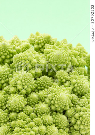 ロマネスコ: Romanesco broccoli 20792302