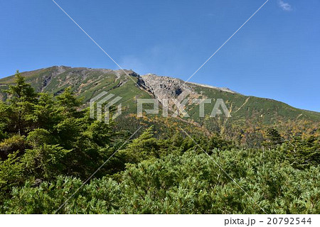 田の原天然公園の写真素材