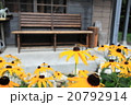 黄色い花とベンチ 20792914