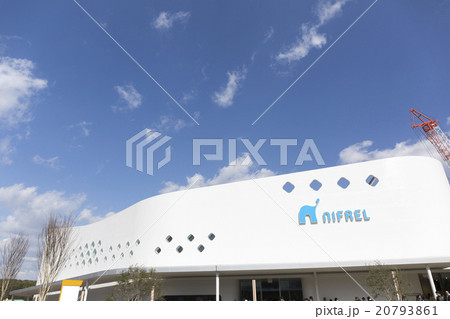 ニフレル 20793861