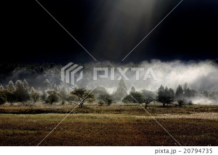 小田代ヶ原 20794735