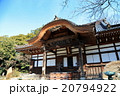 深大寺本堂 20794922