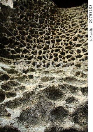 虫食い岩 虫食い岩 20795138