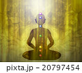 チャクラ　瞑想 20797454