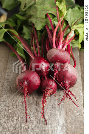 Red beet crop Red beet crop 20798516