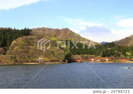 新緑の碓氷湖 新緑の碓氷湖 20798723