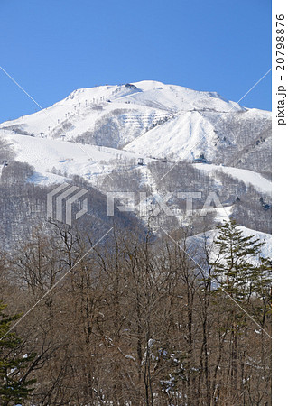 晴天の北アルプスと八方尾根スキー場 晴天の北アルプスと八方尾根スキー場 20798876
