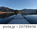 冬の河口湖 20799436