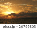 海の夕暮 20799803
