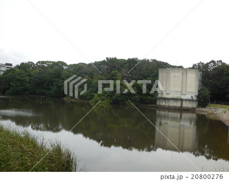 中山池 中山池 20800276