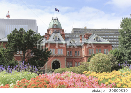 旧北海道庁 20800350