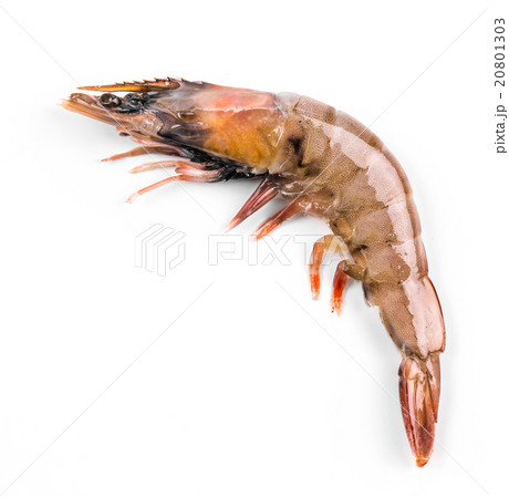 Delicious fresh shrimp Delicious fresh shrimp 20801303