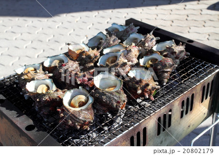 サザエのつぼ焼き サザエのつぼ焼き 20802179