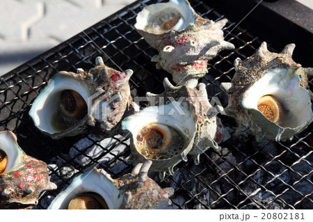 サザエのつぼ焼き 20802181