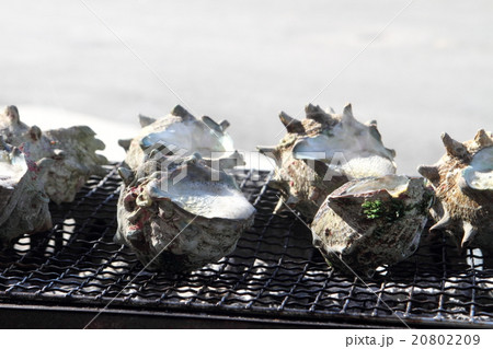 サザエのつぼ焼き サザエのつぼ焼き 20802209