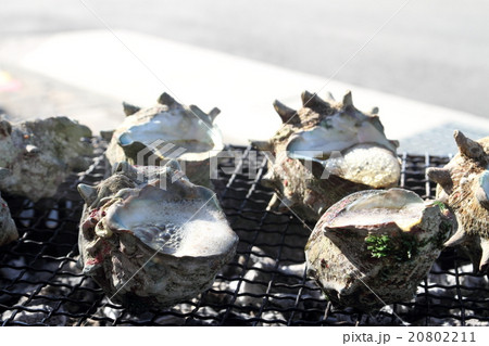 サザエのつぼ焼き 20802211