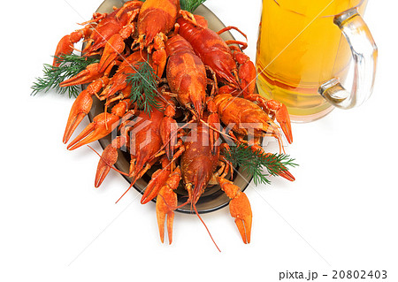 boiled crawfish and beer on a white background 20802403