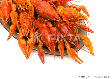 boiled crayfish on a plate on a white background 20802404