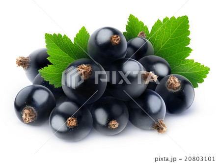 Isolated pile of black currants 20803101