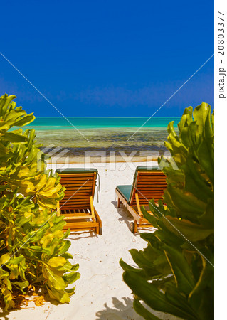 Sunbed on Maldives beach Sunbed on Maldives beach 20803377