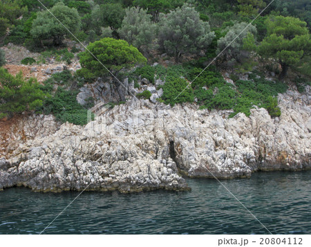 Rocky coast next to sea with olive trees Rocky coast next to sea with olive trees 20804112