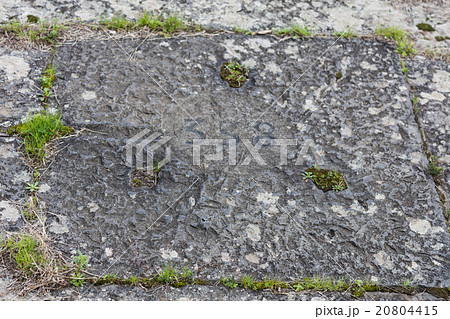 the 366 pits 20804415