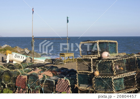 Lobster Pots 20804457