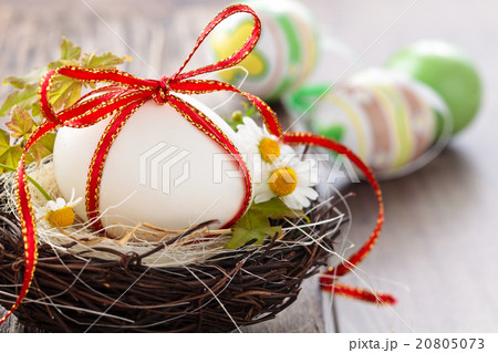 Easter egg in nest. 20805073