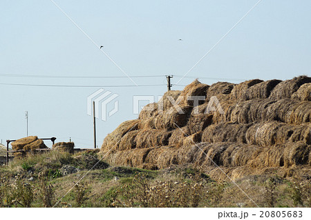 Haystacks in the field Haystacks in the field 20805683
