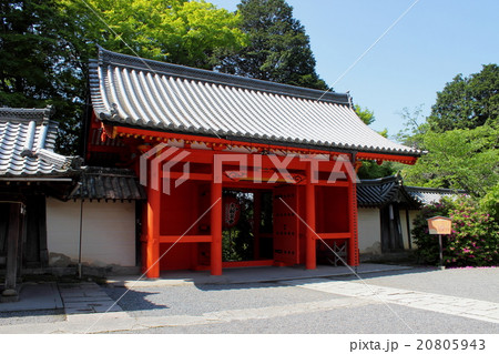 京都　毘沙門堂　山門 20805943