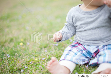 8 months old 20806502