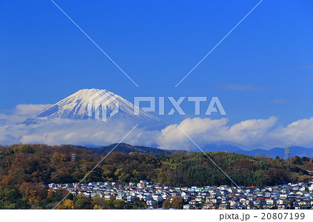 大磯から望む富士山と住宅街 20807199