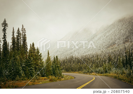 Highway 20807540