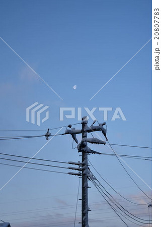 朝の月と雪化粧の電信柱1 朝の月と雪化粧の電信柱1 20807783