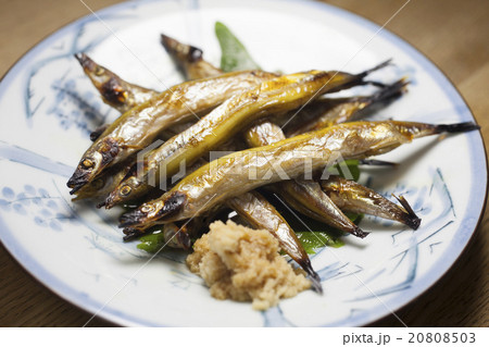 かますごあぶり かますごあぶり 20808503