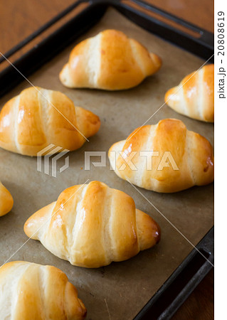 おうちでパン作り　バターロール 20808619