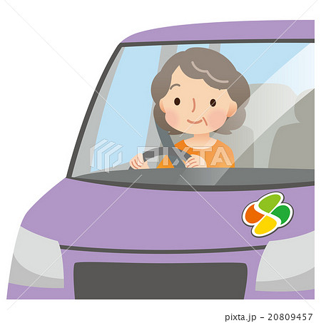車の運転をする高齢者 女性のイラスト素材