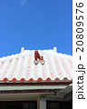 シーサー 20809576