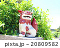 シーサー 20809582