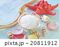 sea salt and shells 20811912