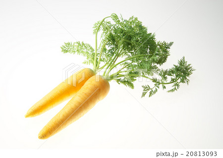 ニンジン ニンジン 20813093