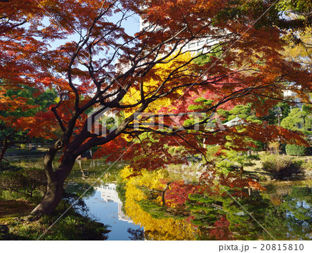 秋の日比谷公園 20815810