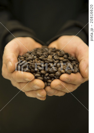 コーヒー豆 20816620