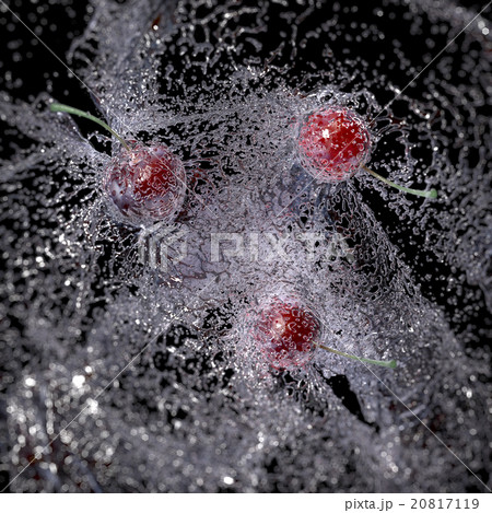 Cherries in Water Splash, isolated on Black. 20817119